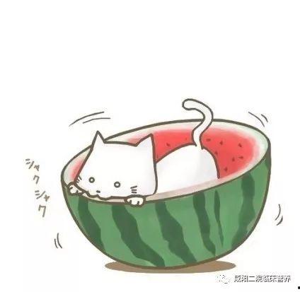 娱乐吃瓜群头像图片高清,趣味横生的视觉盛宴 第2张 娱乐吃瓜群头像图片高清,趣味横生的视觉盛宴 第2张